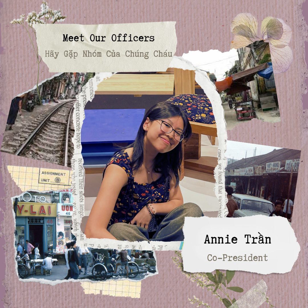 Annie is one of our co-presidents for Vietbay Teens this year. She is a senior at Palo Alto High School, and she likes sewing and sketching as hobbies.