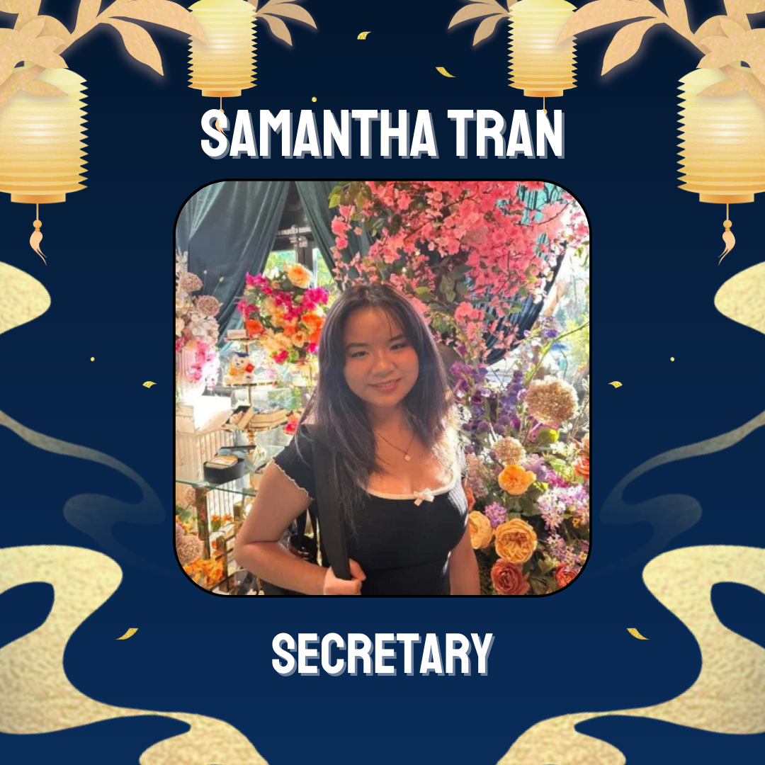 website stuff (6)